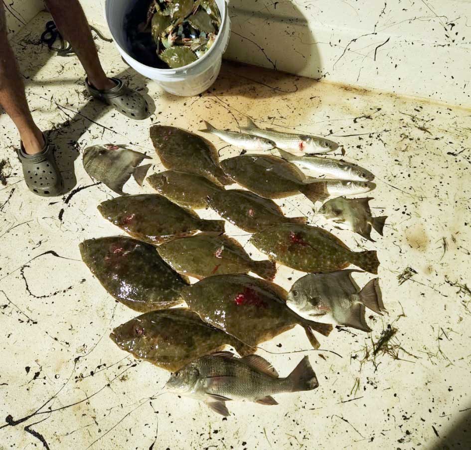 Kings Fishing Charters Bow Fishing Gigging